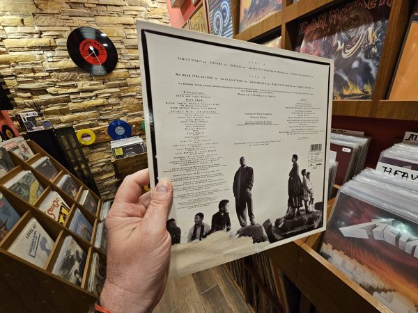 Womack & Womack – Family Spirit - Image 2