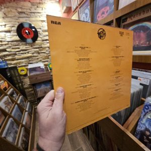 Alternative view of David Bowie – Low