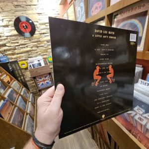 Alternative view of David Lee Roth – A Little Ain't Enough