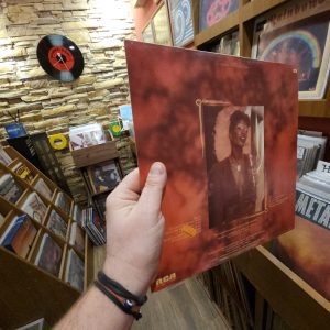 Alternative view of Shawne Jackson – Shawne Jackson