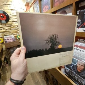 Alternative view of Fleetwood Mac – Bare Trees
