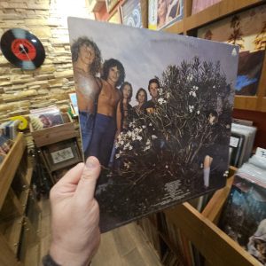 Alternative view of Mr. Big – Photographic Smile