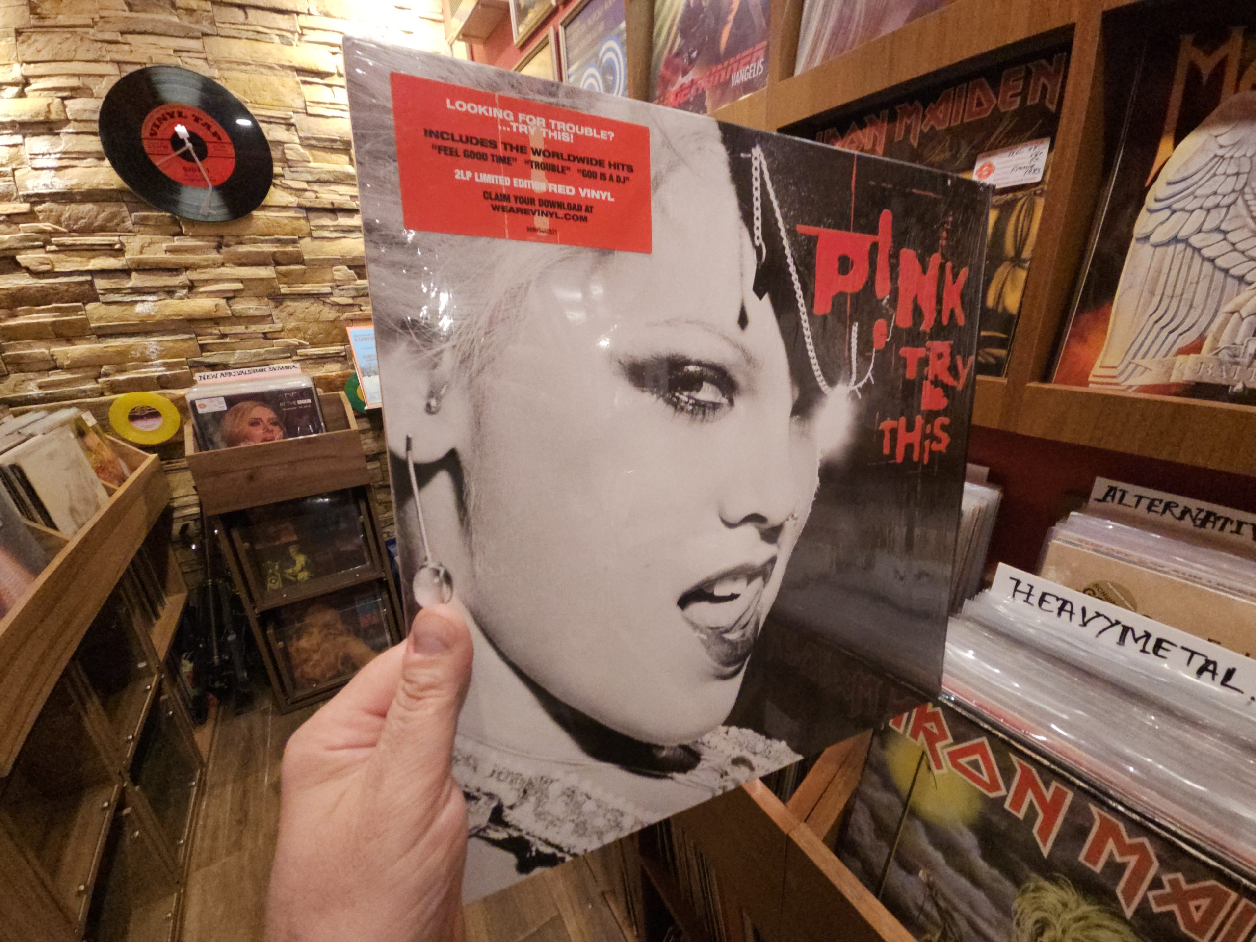 P!NK – Try This
