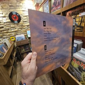 Alternative view of Vaya Con Dios – Vaya Con Dios (Wrong cover)