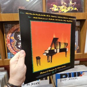 Alternative view of Stevie Wonder – Hotter Than July