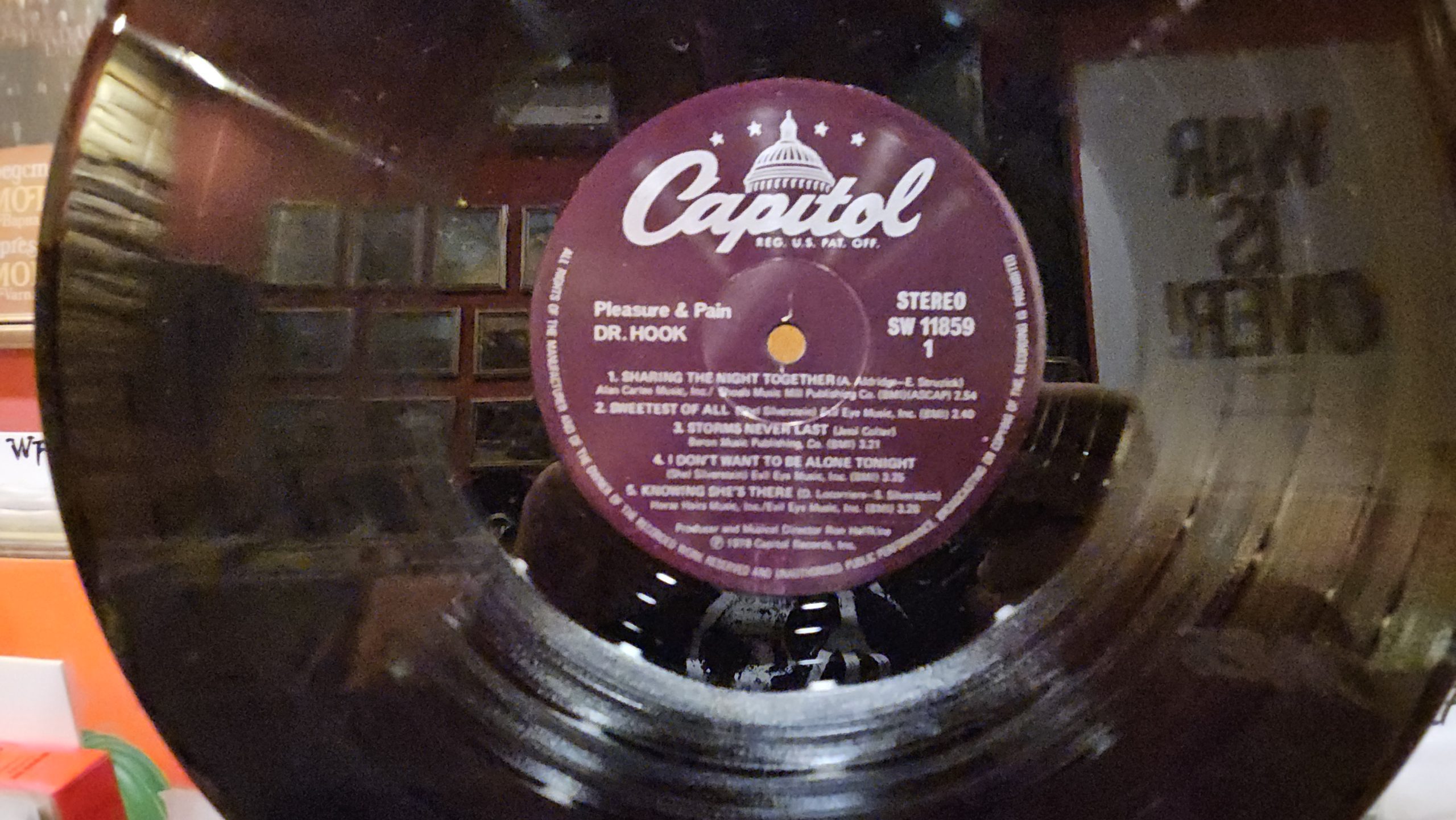 Dr. Hook – Pleasure & Pain - Image 4