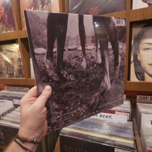 Alternative view of Pearl Jam – Vs.
