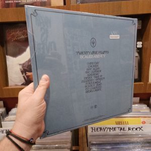 Alternative view of Twenty One Pilots – Scaled And Icy